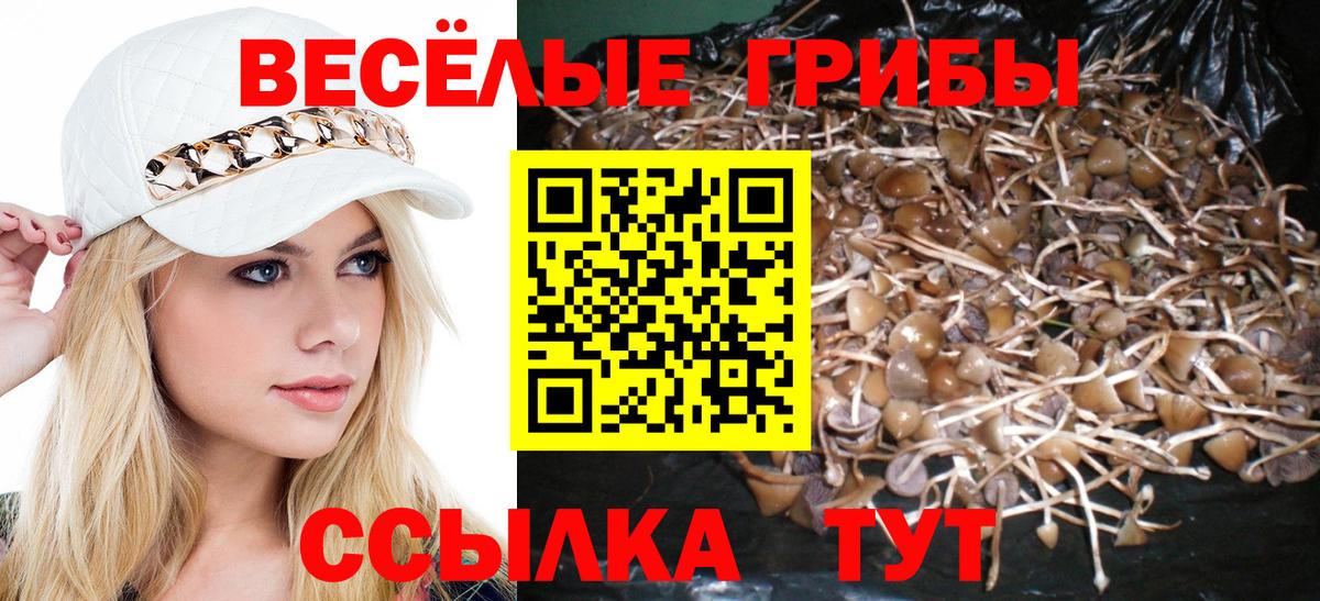 Астрахань  Галлюциногенные грибы мухоморы  купить   Галлюциногенные грибы мицелий  Вход с VPN 