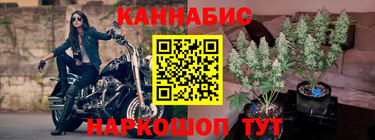 Каннабис AK-47  Конопля тримм  МАРИХУАНА гибрид  Астрахань  Вход с VPN  Бошки Шишки SATIVA & INDICA 